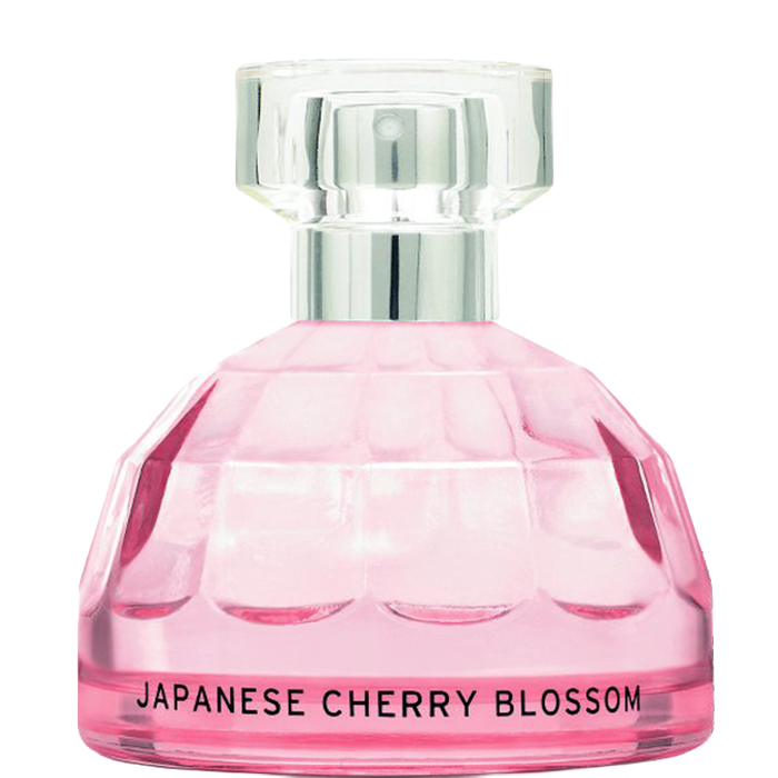 Japanese Cherry Blossom
