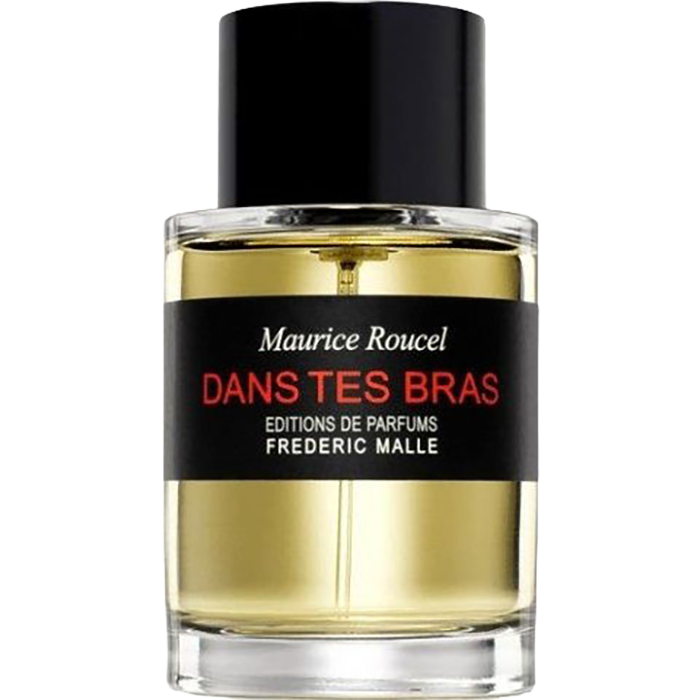 Dans Tes Bras