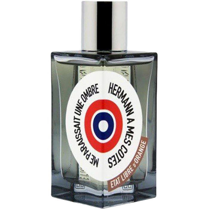 Hermann à Mes Côtés Me Paraissait Une Ombre